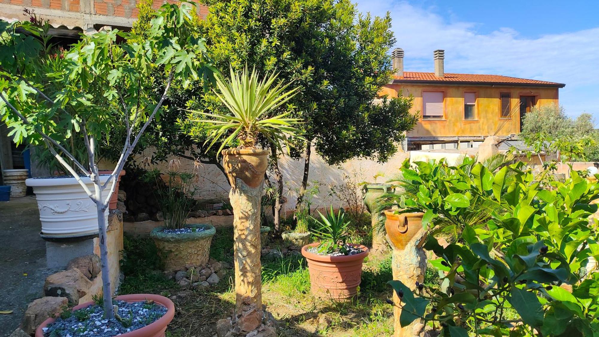 Casa Gaudi - House & Rooms Teulada Dış mekan fotoğraf